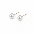 Dainty Classic Studs