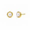 Halo Studs